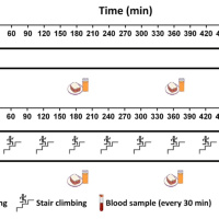 RE-EVAL: Research Review: Exercise Snacks