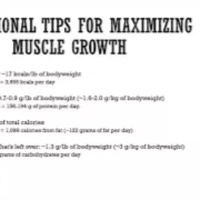 RE-EVAL Performance Insight: Nutrition Tips for Muscle Growth
