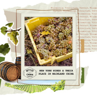Boldly, Evolving: New York Wines and their place in Mainland China