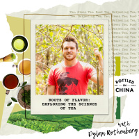 Roots of Flavor: Exploring the Science of Tea with Dylan Rothenburg of Wu Mountain Tea