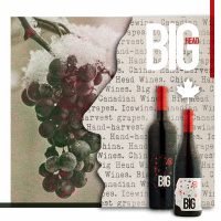 BIG Possibilities for Canadian Wines with Jakub Lipinski of Big Head Wines