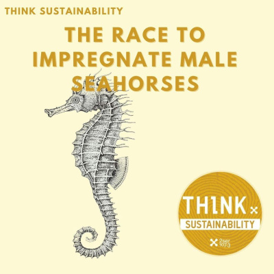 Think: Sustainability