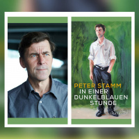 Peter Stamm – In einer dunkelblauen Stunde