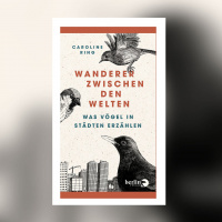 Caroline Ring – Wanderer zwischen den Welten. Was Vögel in Städten erzählen