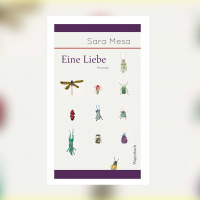 Sara Mesa - Eine Liebe