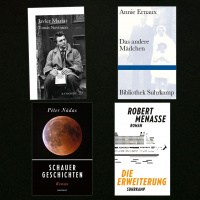 Familiengeheimnisse und Schauergeschichten – Neue Bücher von Literaturnobelpreisträgerin Annie Ernaux, Pèter Nàdas und anderen