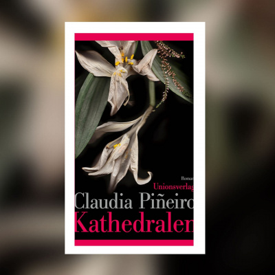 Swr2 Buch Der Woche