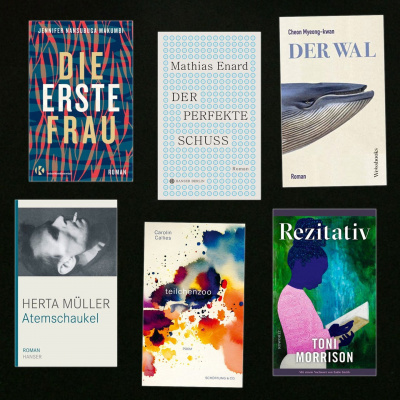 Swr2 Buch Der Woche