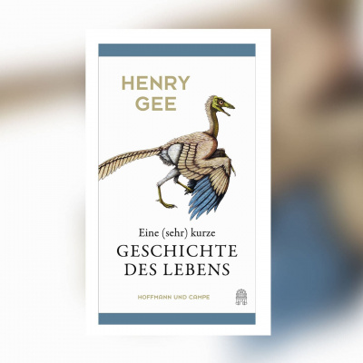 Swr2 Buch Der Woche