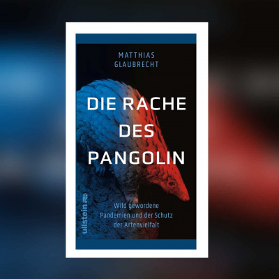 Swr2 Buch Der Woche