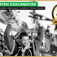 Torgny Mogren räddar Sverige från fiasko