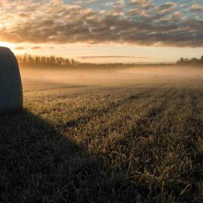 Kluvet Land