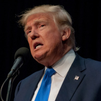 Looking For a New Book About the People Who Put Trump In Office?