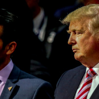 How Much Progress Is Trump Making In Draining The Swamp?