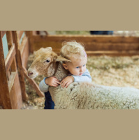 How to Talk to Your Animal Soul and Your Body
