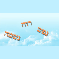 Is Your Baseline Light or Darkness? Why Did the Rebbe Avoid the Term Evil?