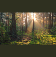 Friday Class: Yechida Where All Our Struggles Converge Into Oneness
