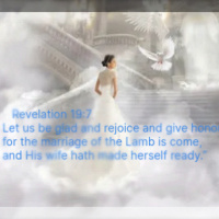 LIVE PROGRAM TONIGHT GOD WILLING.!