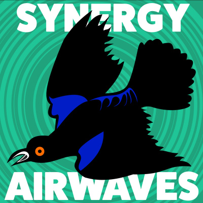 Synergy Airwaves