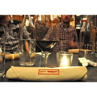 Red Velvet Media goes to The City Winery in NYC!