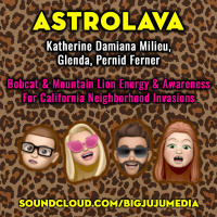 SHOW #807 Bobcat amp Mountain Lion Energy amp Awareness For California Neighborhood Invasions
