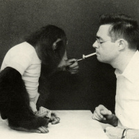 Episode 260: As Long as I’m Not Wearing an Apple Watch, I’ll Never Get Credit For Standing