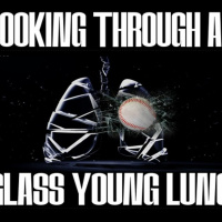 Show sample for 12/4/23: LOOKING THROUGH A GLASS YOUNG LUNG DR. LEE MERRITT