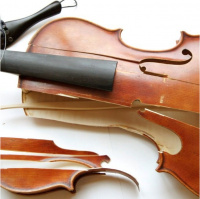 Domestic Violins