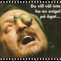 #226 - Snigel På Ögat
