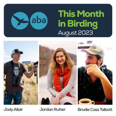 American Birding Podcast