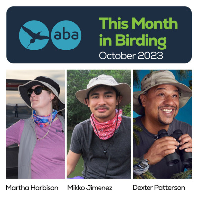 American Birding Podcast