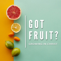 Got Fruit? Growing In Christ | Stephen DeFazio | June 11, 2023