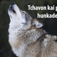 Tchavon kai pattcha lo hunkade je Ruv