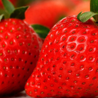 Paramichia pa jagoda