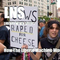 How The Liberal Machine Works 08/26/20 Vol. 9 #156