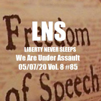 We Are Under Assault 05/07/20 Vol. 8 #85