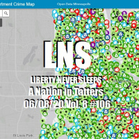 A Nation in Tatters 06/08/20 Vol. 8 #106