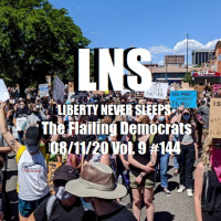 The Flailing Democrats 08/11/20 Vol. 9 #144