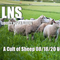 A Cult of Sheep 08/18/20 Vol. 9 #149