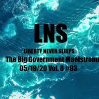 The Big Government Maelstrome 05/19/20 Vol. 8 #93