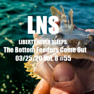 Liberty Never Sleeps