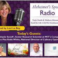 Toxic Foods  Modern Disease Plus Food for Life with The Goodman Group