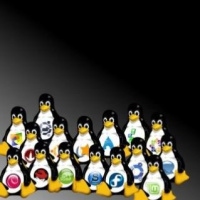 Porque Linux no despega