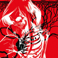 NOVEDADES Y RECOMENDACIONES - Stillwater, En lo profundo del Bosque, La Visión y La Bruja Escarlata, Habibi, En camino