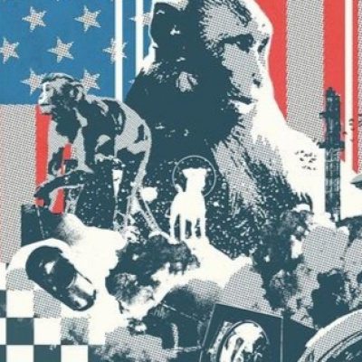 Tomos Y Grapas Cómics