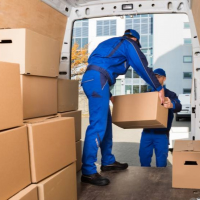 Tomos Y Grapas Cómics