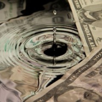 Cash Field Crop and Feed Market Outlook | The Importance of Liquidity