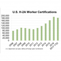 H-2A Usage Approaches 200,000 Workers | Preparing the Next Generation for Farm Management