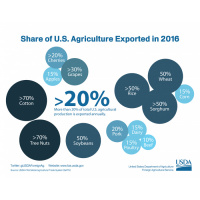 Amid Escalating Trade Tensions, a look at US agricultural exports | Todays Harvest