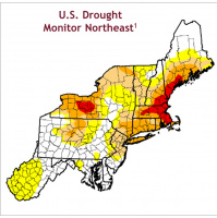 Northeast Ag Producer Grants | Drought Conditions | U.S. Dollar Value and Farm Income